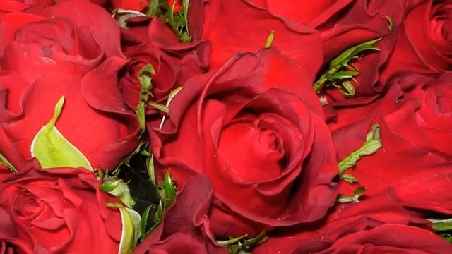 Красные Розы. Я так обожаю твою улыбку... смотреть онлайн