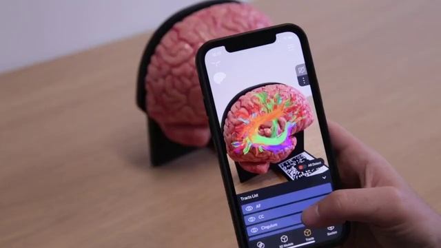 Детализированная мягкая модель головного мозга, оснащенная модулем дополненной реальности AnatomyTo смотреть онлайн