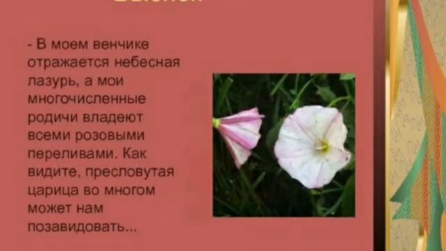 Цветы о многом говорят смотреть онлайн