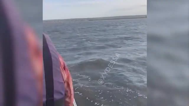 На озере Тудорово перевернулся катер с пограничниками смотреть онлайн
