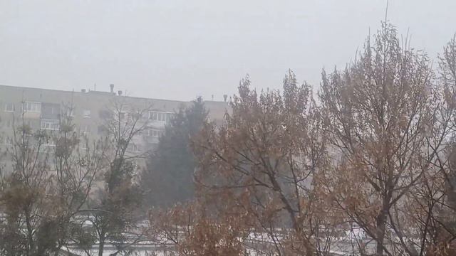 не большая метель в первый день зимы! 1 декабря 2023 год! смотреть онлайн