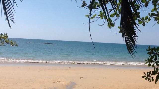 вид на море с лежака смотреть онлайн