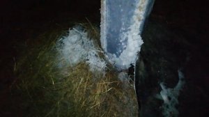 Как сделать вентиляцию в сарае для свиней.