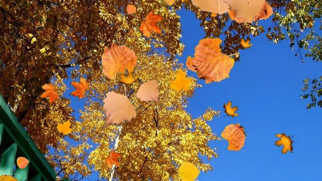 Осенние мелодии смотреть онлайн