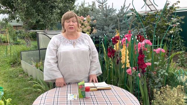 10 секретов за 7 минут. Как выращивать гладиолусы. смотреть онлайн