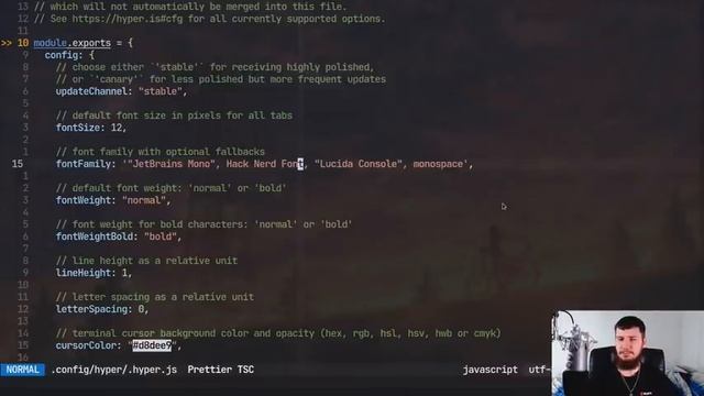 Hyper: This JavaScript Terminal Isn't As Terrible As Expected смотреть онлайн