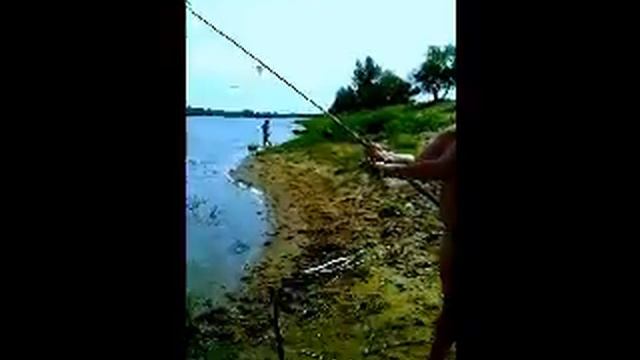Копия видео Рыбалка на Ахтубе смотреть онлайн