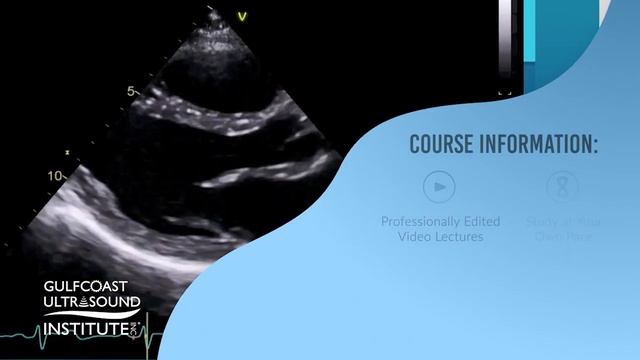 GCUS Online Courses PROMO смотреть онлайн