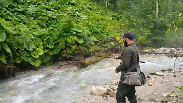 В поисках ручьевой форели.. Рыбалка в КБР смотреть онлайн