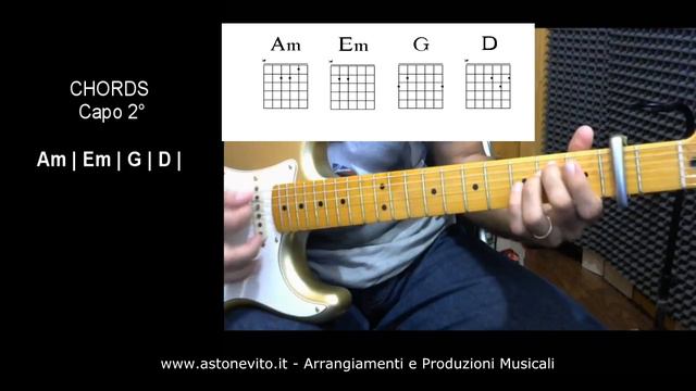 HOW TO PLAY - LANA DEL REY - White Mustang - Guitar Chords Lesson смотреть онлайн