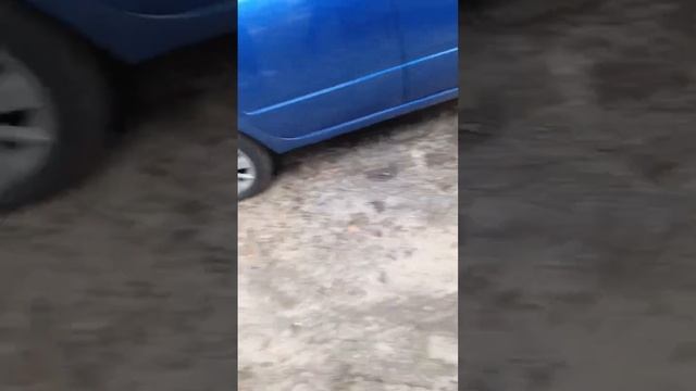 Бездомных кутят надо подкармливать. смотреть онлайн