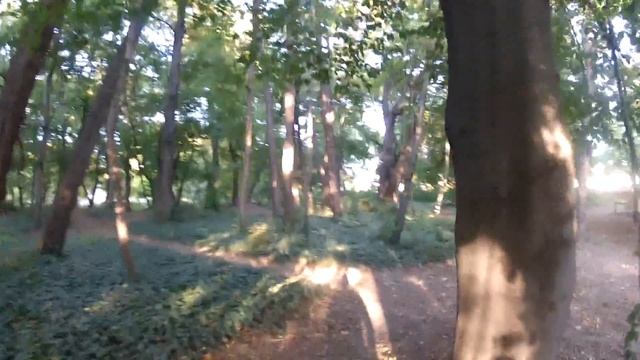 Margit Island - Budapest Hungary смотреть онлайн