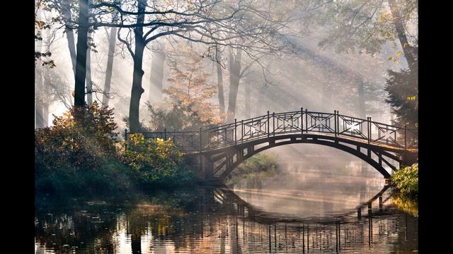 Хотите улучшения в своей жизни?Вам сюда!Классическая музыка и музыкотерапия смотреть онлайн