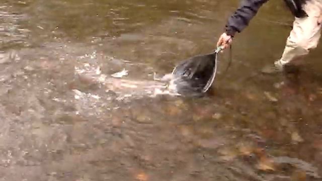 Р Опала, мякижа смотреть онлайн