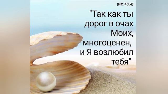 Светлая жизнь