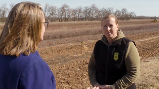 Growing Tree Seedlings For Conservation In Oklahoma