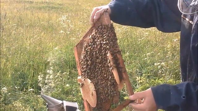 Открываем ловушку . смотреть онлайн