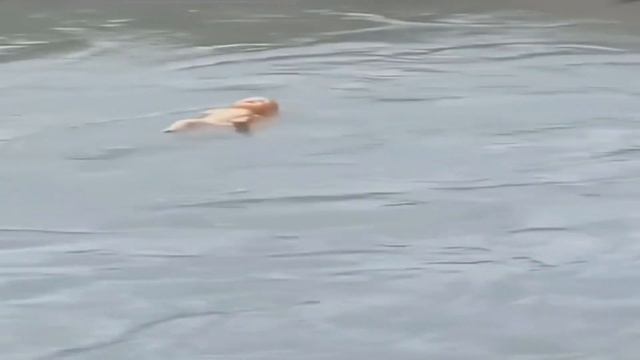 ANKHA ZONE SIN CENSURA HORA DE ANTOJAR