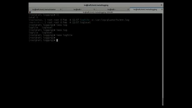 Debugging A Live Gluster File System Using .meta Directory смотреть онлайн