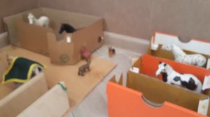 Обзор на мой КСК