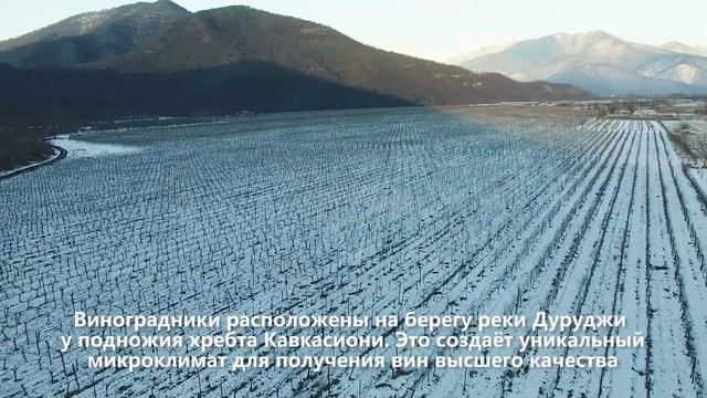 DOCUMENTAL LONG смотреть онлайн