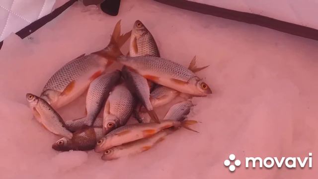 второй день рыбалки смотреть онлайн