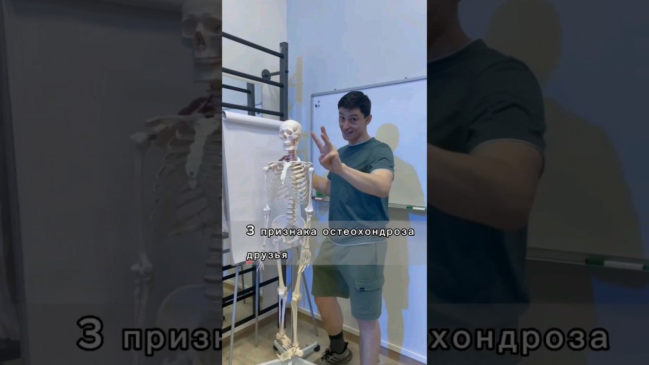 Прием у остеопата: процесс и особенности. Что такое остеохондроз и как его лечить? Опыт из практики. смотреть онлайн