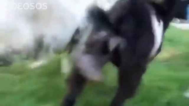 Колокольчики 720p смотреть онлайн