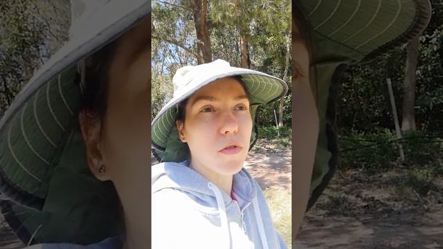 Видео 55. Изменение моего мышления. 2 отчёт 2019 2020 год 14 октября 2020 г. смотреть онлайн