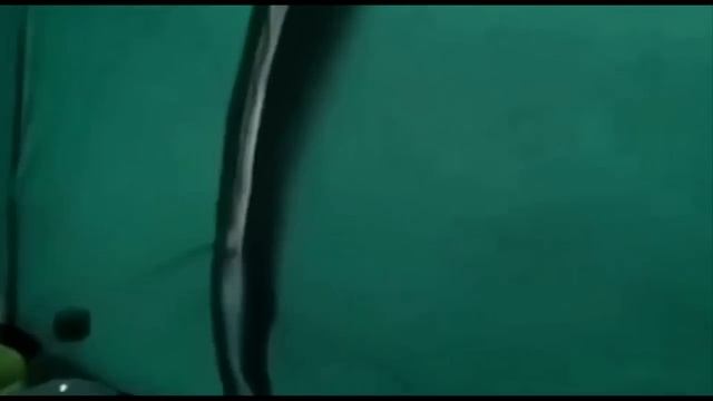 Try Not To Laugh Dogs And Cats ? - Best Funniest Animal Videos Of The Month #1
#Animals #cuteanimal