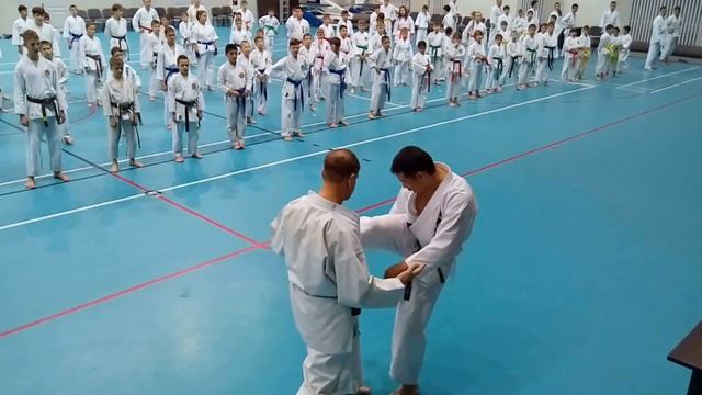 Канадзава, Семинар 2016г. г.Чита смотреть онлайн