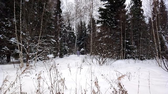 Человек уходит вдаль в лесу смотреть онлайн