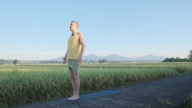 Сурья Намаскар вариант А | Правильное выполнение Сурья Намаскар для начинающих | Разбор асан смотреть онлайн