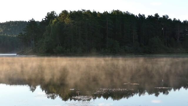 Медитация Любящей Доброты ? Практика МЕТТА ? Безусловная Любовь смотреть онлайн