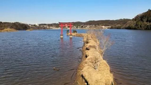 Японские мотивы. Спокойная японская музыка. Расслабляющая музыка для сна. смотреть онлайн