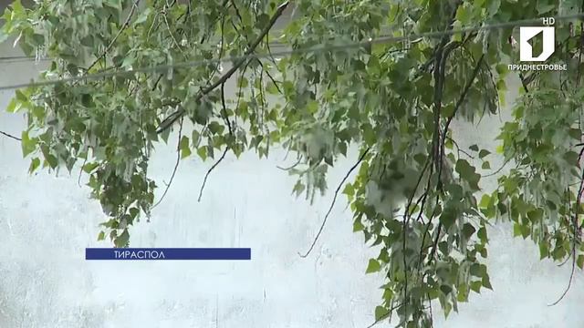 ЛА ТИМП 22/05/14 смотреть онлайн