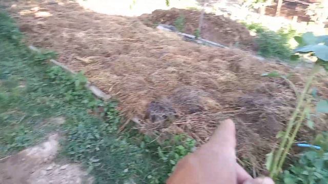 эм бактерия қалай қолданамыз Не үшін керек көріңіздер 4.06.2022 смотреть онлайн