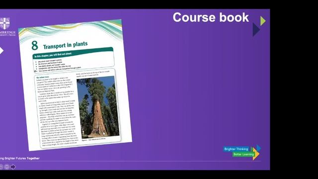 How to Teach Cambridge IGCSE™ Biology with David Martindill смотреть онлайн