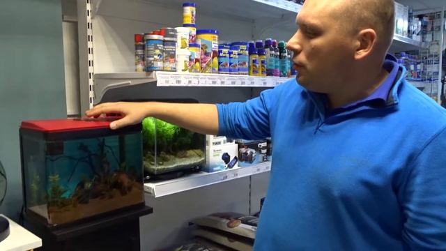 Аквариум PRIME смотреть онлайн