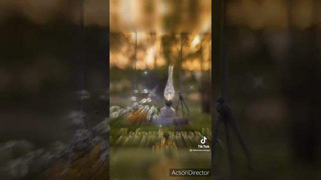 добрый вечер