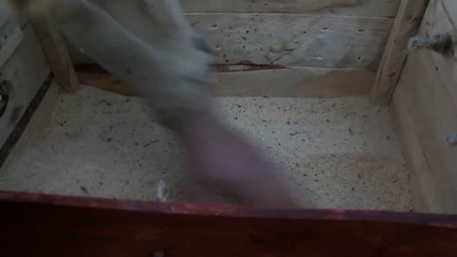 Мобильное гнездо для наседки своими руками. смотреть онлайн