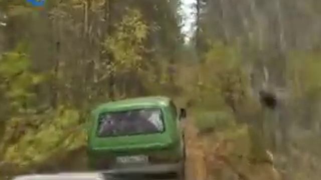 Енот-Вездеход на ТВ (Егорьевское) смотреть онлайн