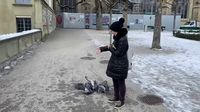 Зимний Берн. Столица Швейцарии. 20.01.23 смотреть онлайн