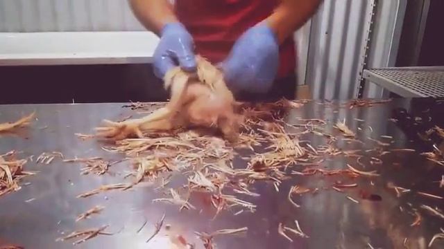 Щипаем курицу смотреть онлайн