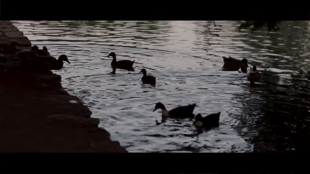 Видеосъемка на IPhone 13 | Cinematic Mod