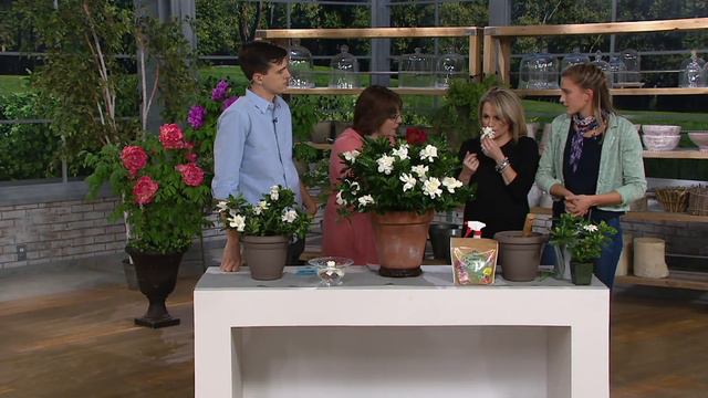 Roberta's 1-Piece Crown Jewel Hardy Gardenia on QVC смотреть онлайн