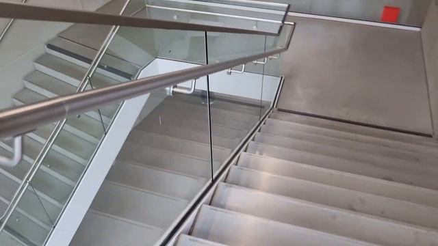 ??VLOG#152 Самые дешевые деревья, которые я когда-либо покупала смотреть онлайн