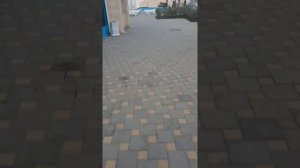 Мореми Сукко 09.09.22 г.