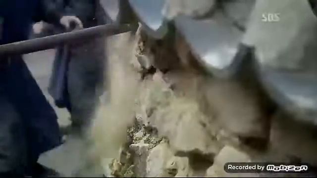 Пек тон су против шайка ни даумык смотреть онлайн