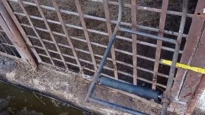 станок для кастрации поросят.